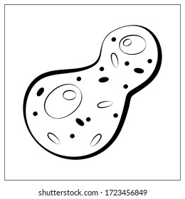 Ilustración vectorial con contornos de bacterias, virus, células, gérmenes o bacilo epidémico. Dibujo estilizado para el diseño de su sitio web, logotipo, aplicación, UI. Ilustración aislada de fondo blanco.