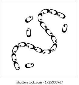 Vector illustration with outlines of bacteria, virus, cells, germs or epidemic bacillus. Stylized drawing for your web site design, logo, app, UI. Isolated stock illustration on white background.