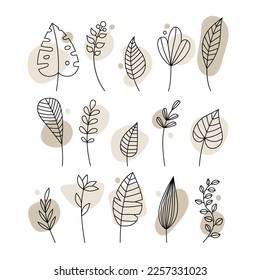 Vector illustration, outlines of petals with colored delicate abstract elements. Set of linear twigs. Stylish handdrawn decor template for covers, cards, notebooks, with design, isolated on background