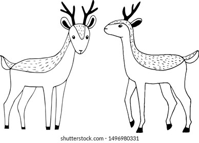 Vector illustration of outlines of reindeers in scandinavian flat style . Black outline drawing of deers isolated on white background.