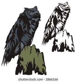 Vector illustration of an owl.