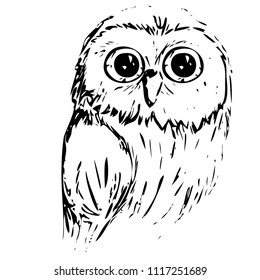Vector illustration of an owl with big eyes drawing an ink graphic