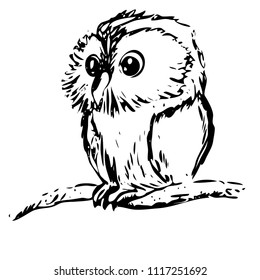 Vector illustration of an owl chick on a branch drawing an ink chart
