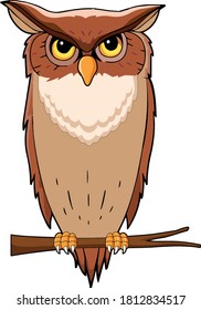 vector Illustration of a Owl. Cute Cartoon Owl Isolated on a White Background