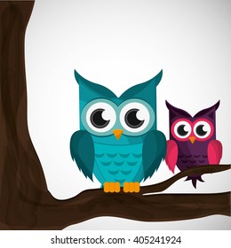 Vector illustration of an Owl, graphic design