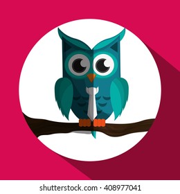 Vector illustration of an Owl, graphic design, animal represent knowledge