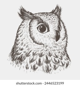 Vector illustration of an owl head in engraving style