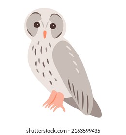 Vector illustration of an owl, isolated