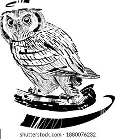 the vector illustration of the owl on a branch