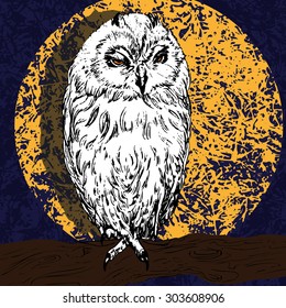 vector illustration. owl on a branch with full moon in background