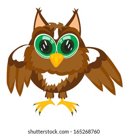 Vector illustration of the owl on white background