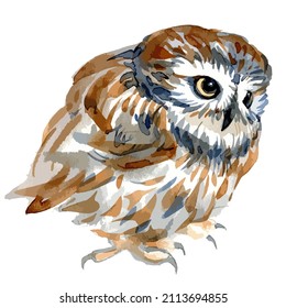 Ilustración vectorial del retrato de búho. Pájaro forestal aislado en un fondo blanco