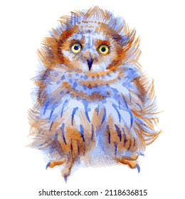 Vector illustration of owl portrait. Forest bird isolated on white background