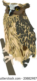 vector or illustration of an owl in a tree