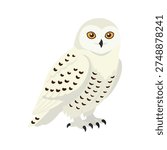 Vector illustration owl in trendy flat style. Isolated on white.