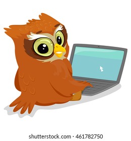 Vector Illustration of an Owl using a Laptop