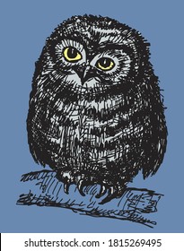 Vector illustration of an owlet sitting on tree branch in night