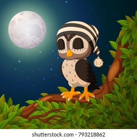 vector illustration of owls on the tree branch in night