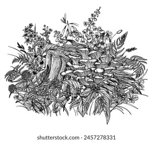 Vector illustration of oyster mushrooms on a stump surrounded by forest flowers, plants and berries in engraving style