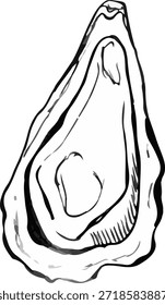 vector illustration of an oyster. A stylized illustration in the graphic style of linocut, with bold outlines and thin shading on a white background.