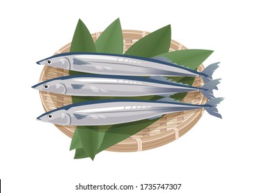 Vector illustration, Pacific saury on the Bamboo colander