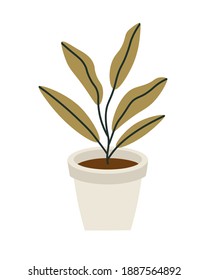 Vector illustration of packs of the flowerpot with flower isolated on a white background. Concept of home flower, springtime gardening, floriculture. Hand-drawn set in flat style.