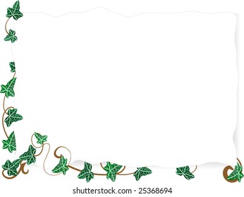 Vector illustration of page with ivy leaves
