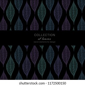 Vector illustration of painted colored leaves on a black background. Elements for design .Shoulder greeting card template.