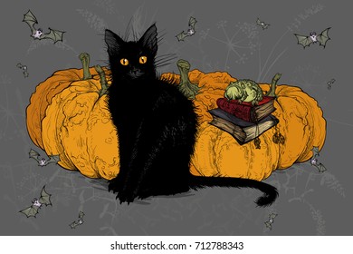 Vector illustration. Painted on a graphic tablet. Black witch's cat is a Halloween.  On a background with pumpkins.
