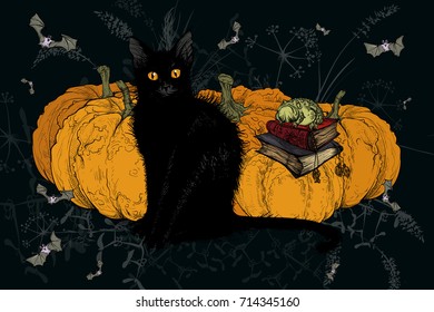 Vector illustration. Painted on a graphic tablet. Black witch's cat is a Halloween.  On a dark background with pumpkins.
