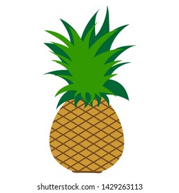 Vector illustration of painted pineapple on white background. Symbol of fruit, food,vegetarian,vegan.