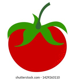 Vector illustration of painted tomato on white background. Symbol of vegetable, food,vegetarian,vegan.
