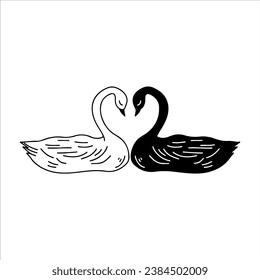 vector illustration of a pair of black and white swans