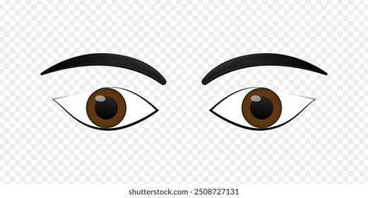 Vector illustration of pair of eyes on transparent background