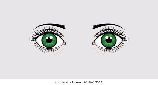 Vector illustration of a pair of human eyes with green eyeballs