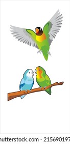 vector illustration of a pair of love birds and flying