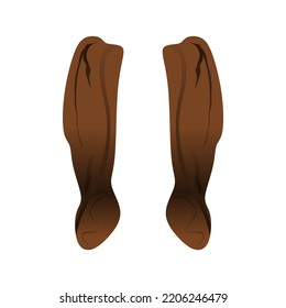 Vector illustration of a pair of mahogany seeds in flat cartoon design style. Suitable for design materials, such as educational books, posters, flyers, and many others.