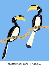 vector illustration of a pair of malabar pied hornbills anthracoceros coronatus