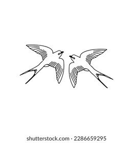  vector illustration of a pair of swallows