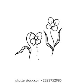 vector illustration of a pair of wilted flowers