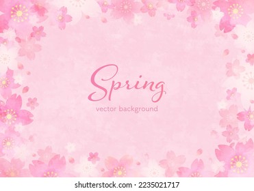 Vector illustration of pale cherry blossom. 