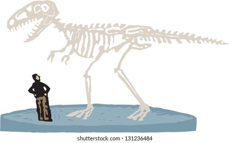Vector illustration of paleontologist or man looking at a dinosaur fossil skeleton