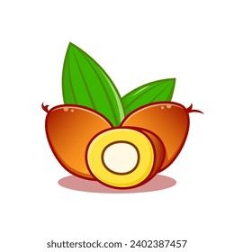 vector illustration of palm fruit  flat design concept
