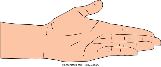 Vector illustration of a palm up gesture. Hand palm facing up