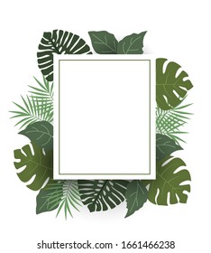 Dibujo vectorial de la decoración de hojas de palma. Hoja de palmera de árbol exótico. Marco natural, decoración romántica