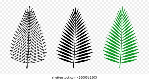 Vector illustration of Palm leaf in green and black color on transparent background