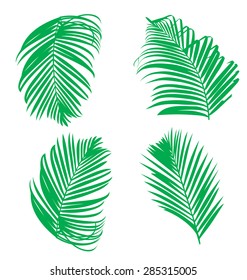 Vector illustration of  palm leaf set