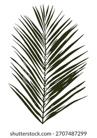 Ilustração vetorial de uma silhueta de folha de palma.