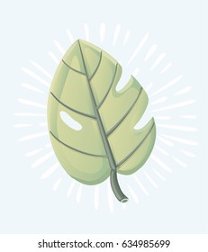 Vector illustration of palm leaves isolated on a white background.