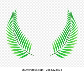 Vector illustration of Palm leaves on transparent background
